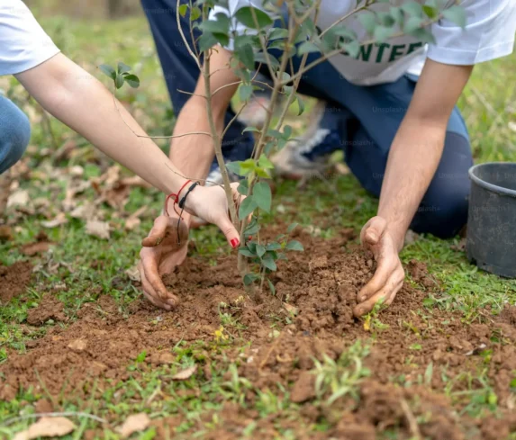 premium_photo-1681140560806-928e8b9a9a20