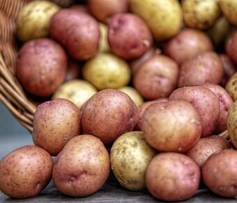 Fresh Organic Potatoes – High-Quality, Farm Fresh & Nutrient-Rich