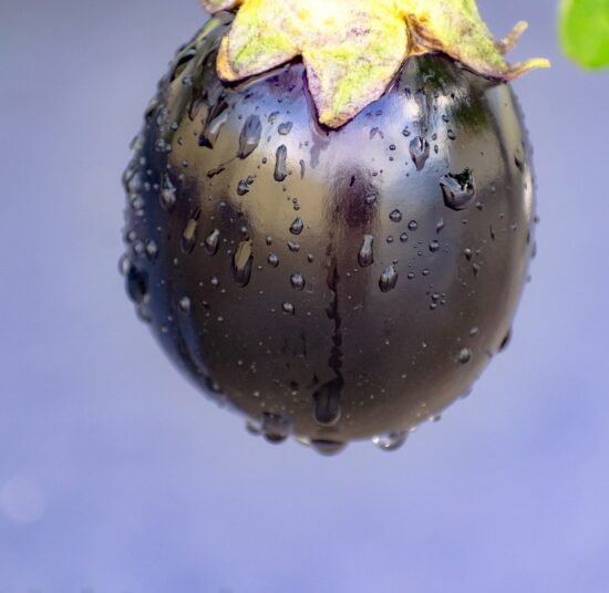 Premium Organic Brinjal (Eggplant) – Fresh, Pesticide-Free, Nutrient-Rich