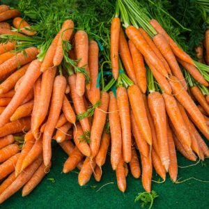 Premium Organic Carrot – Fresh, Pesticide-Free, Nutrient-Rich