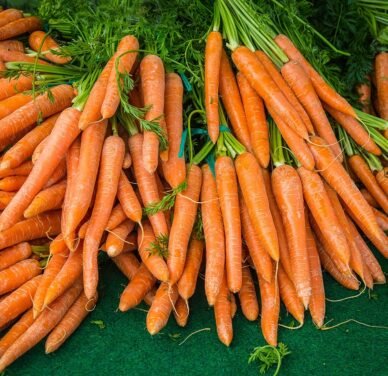 Premium Organic Carrot – Fresh, Pesticide-Free, Nutrient-Rich