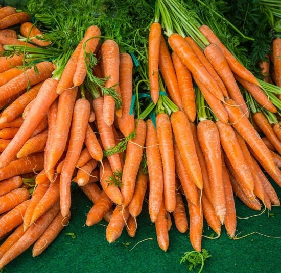 Premium Organic Carrot – Fresh, Pesticide-Free, Nutrient-Rich