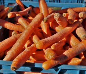 Premium Organic Carrot – Fresh, Pesticide-Free, Nutrient-Rich