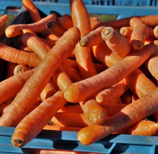 Premium Organic Carrot – Fresh, Pesticide-Free, Nutrient-Rich