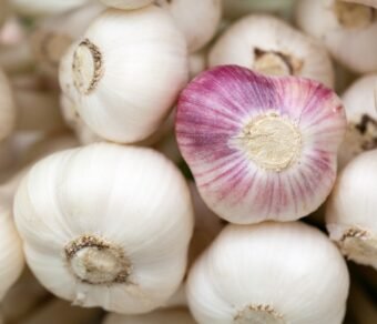 Premium Organic Garlic – Fresh, Pesticide-Free, Rich in Flavor and Nutrients