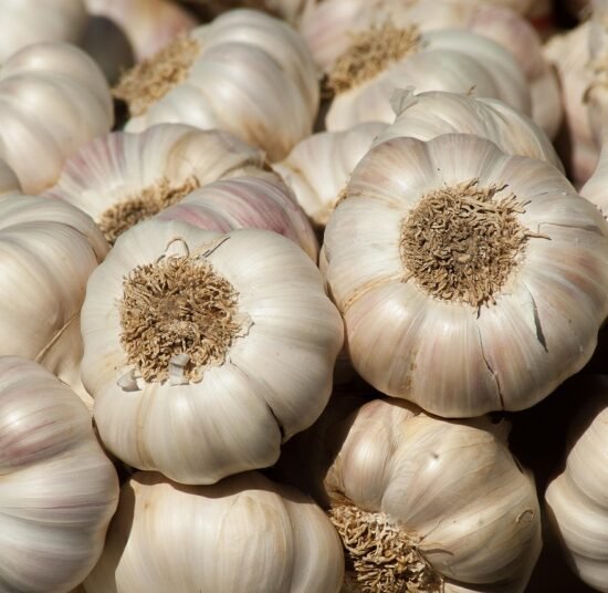 Premium Organic Garlic – Fresh, Pesticide-Free, Rich in Flavor and Nutrients