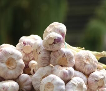 Premium Organic Garlic – Fresh, Pesticide-Free, Rich in Flavor and Nutrients