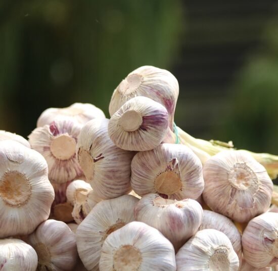 Premium Organic Garlic – Fresh, Pesticide-Free, Rich in Flavor and Nutrients