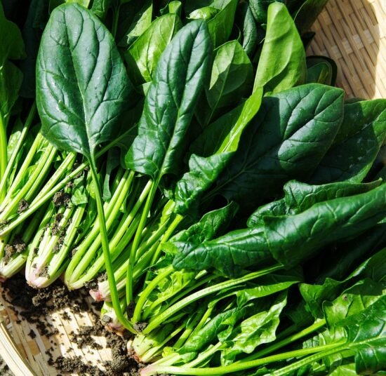 Organic Palak (Spinach) – Fresh, Pesticide-Free, Nutrient-Rich