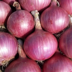 Premium Organic Onion – Fresh, Pesticide-Free, Nutrient-Rich