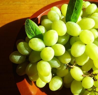 Organic Green Grapes – Premium Quality, Fresh, and Pesticide-Free