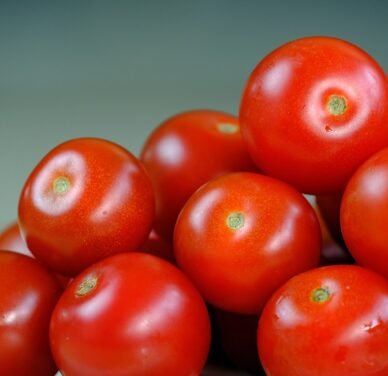 Fresh Organic Tomatoes – Juicy, Ripe & Farm Fresh 28626/- per ton