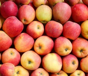 Premium Organic Apples – Fresh, Sweet, and Pesticide-Free Fruits