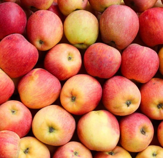 Premium Organic Apples – Fresh, Sweet, and Pesticide-Free Fruits