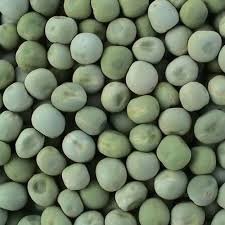 Premium Green Peas (Matar) – Fresh, Nutritious & High-Quality 🌱