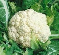 Farm-Fresh Organic Gobhi (Cauliflower) – Crisp, Nutrient-Rich, Pesticide-Free (Copy)