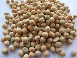 Premium Green Peas (Matar) – Fresh, Nutritious & High-Quality 🌱