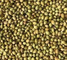 Premium Whole Coriander Seeds – 100% Natural & Aromatic