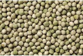 Premium Green Peas (Matar) – Fresh, Nutritious & High-Quality 🌱