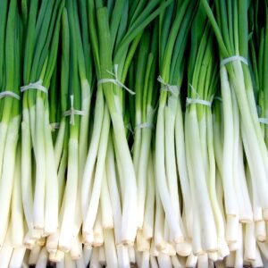 Fresh Organic Onion Leaves – Pesticide-Free, Nutrient-Rich & Flavorful