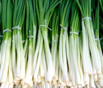 Fresh Organic Onion Leaves – Pesticide-Free, Nutrient-Rich & Flavorful