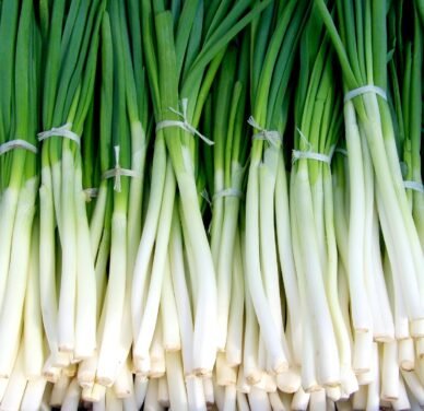 Fresh Organic Onion Leaves – Pesticide-Free, Nutrient-Rich & Flavorful