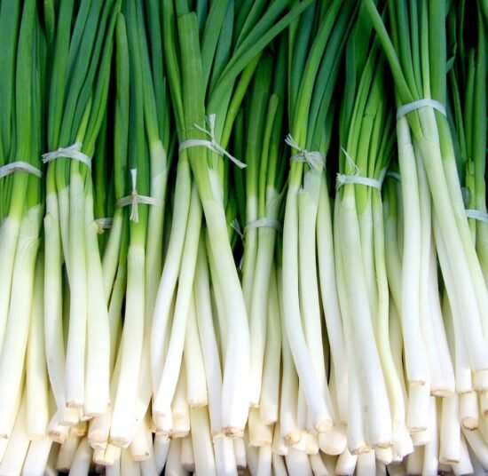 Fresh Organic Onion Leaves – Pesticide-Free, Nutrient-Rich & Flavorful