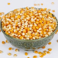 Premium Corn Seeds – High-Quality, Non-GMO & Naturally Grown 🌽