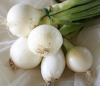 Fresh Organic Onion Leaves – Pesticide-Free, Nutrient-Rich & Flavorful