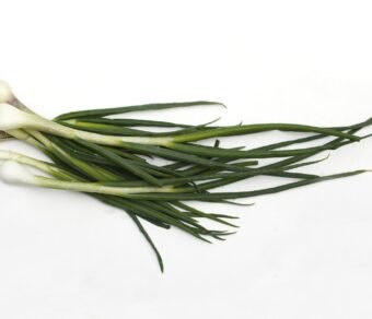 Fresh Organic Onion Leaves – Pesticide-Free, Nutrient-Rich & Flavorful