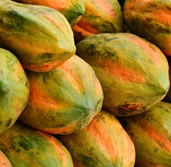 Fresh Organic Papaya – Premium Quality, Bulk Supply at Best Price