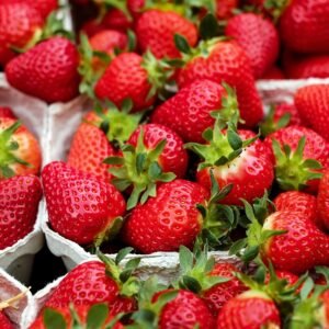 Fresh Organic Strawberries – Premium Quality, Bulk Supply at Unbeatable Price