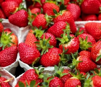 Fresh Organic Strawberries – Premium Quality, Bulk Supply at Unbeatable Price