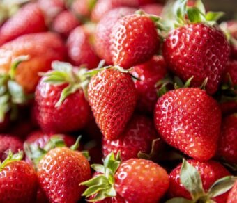 Fresh Organic Strawberries – Premium Quality, Bulk Supply at Unbeatable Price