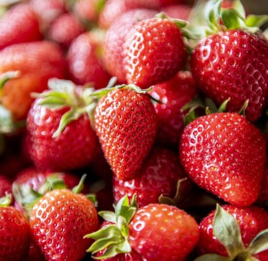 Fresh Organic Strawberries – Premium Quality, Bulk Supply at Unbeatable Price